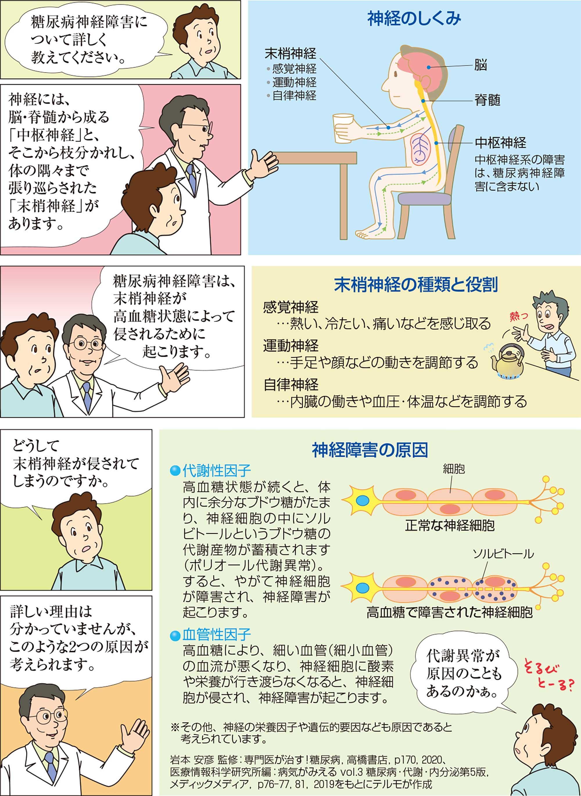 末梢神経の種類と役割、神経障害の原因