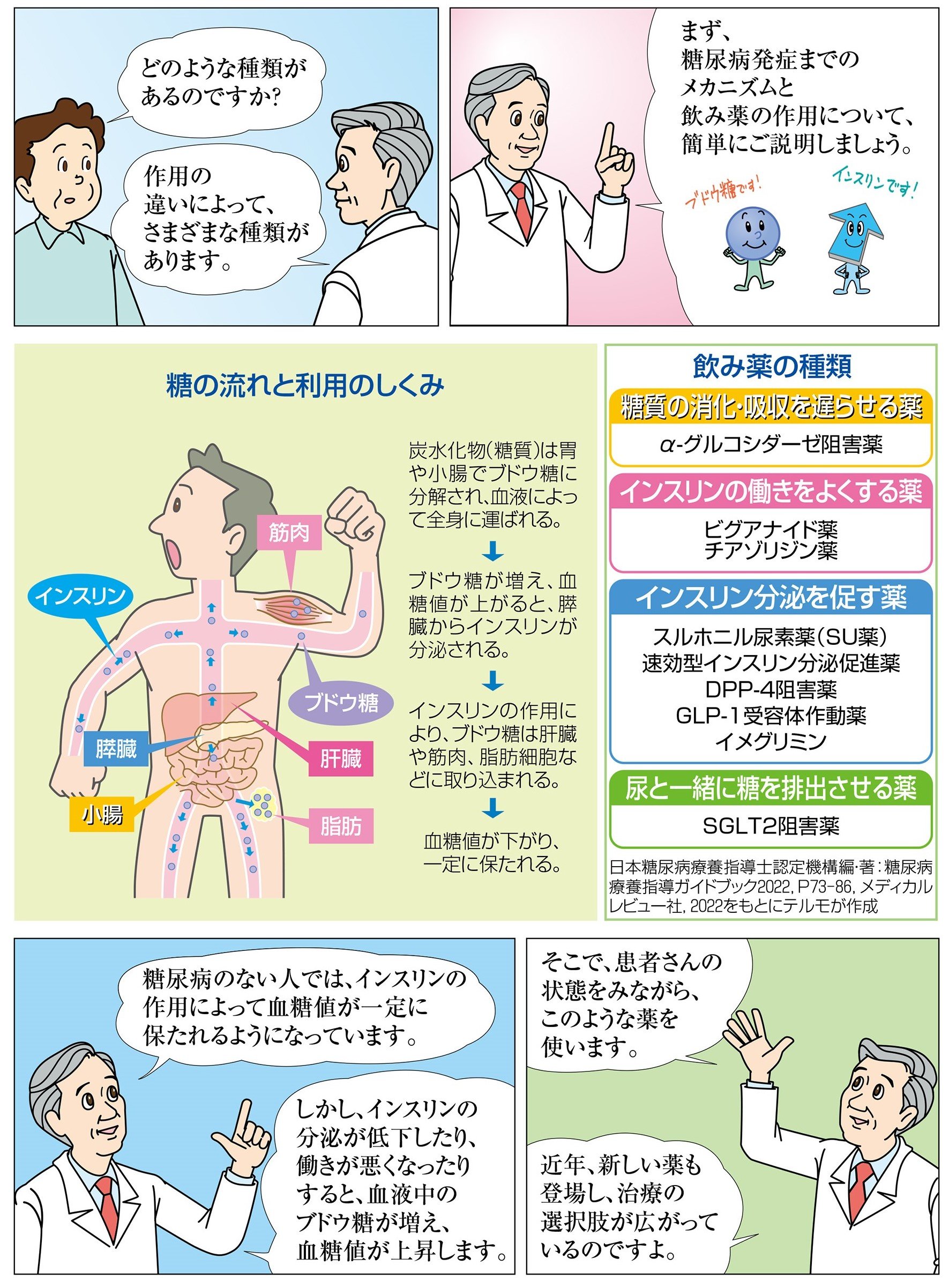 糖尿病の飲み薬には「糖質の消化・吸収を遅らせる薬」「インスリンの働きをよくする薬」「インスリン分泌を促す薬」「尿と一緒に糖を排出させ薬」などがあります。