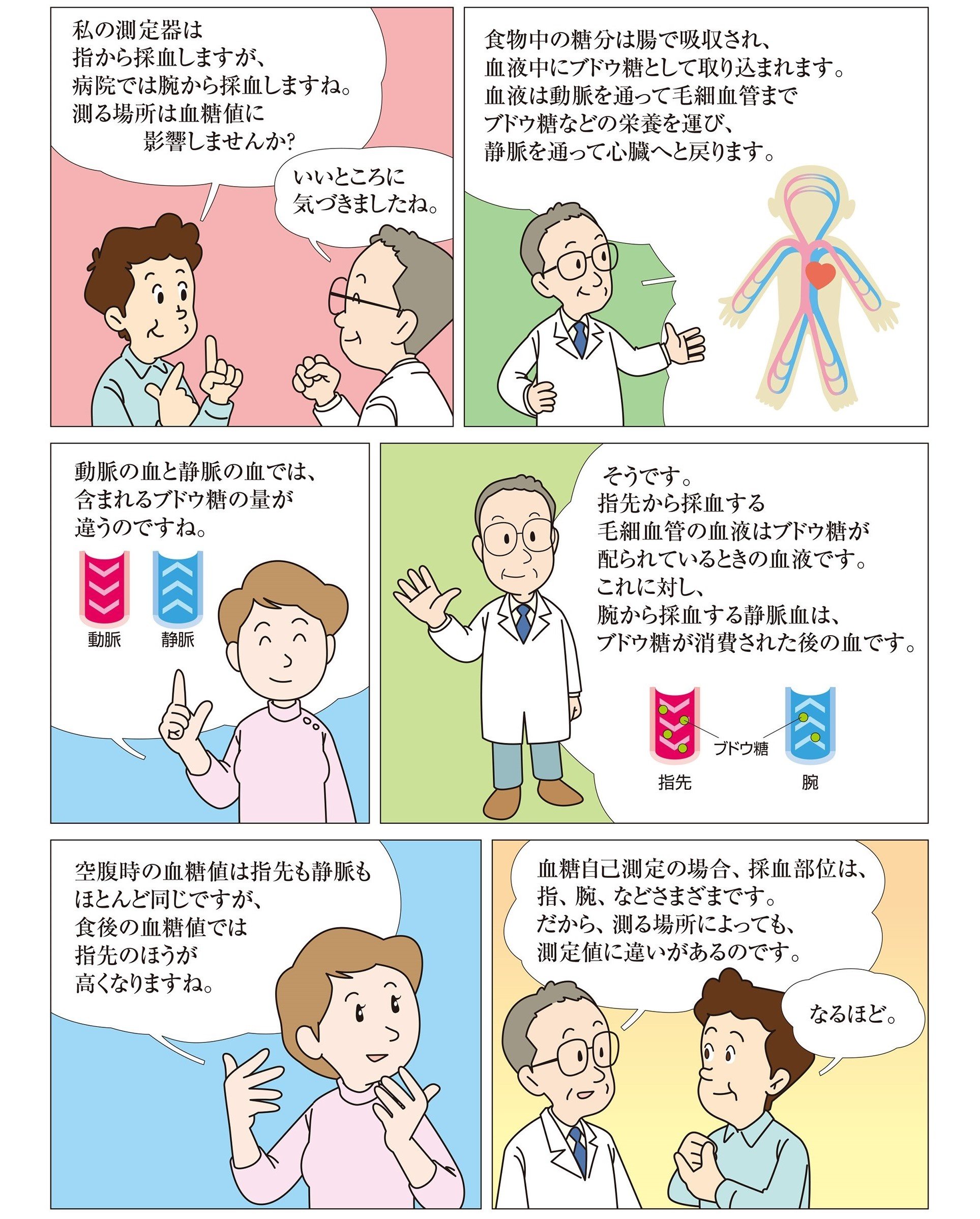 指先の毛細血管と腕の静脈血ではブドウ糖の量が異なるので、血糖値も異なります。